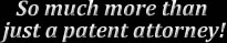 So much  more than just a patent attorney!